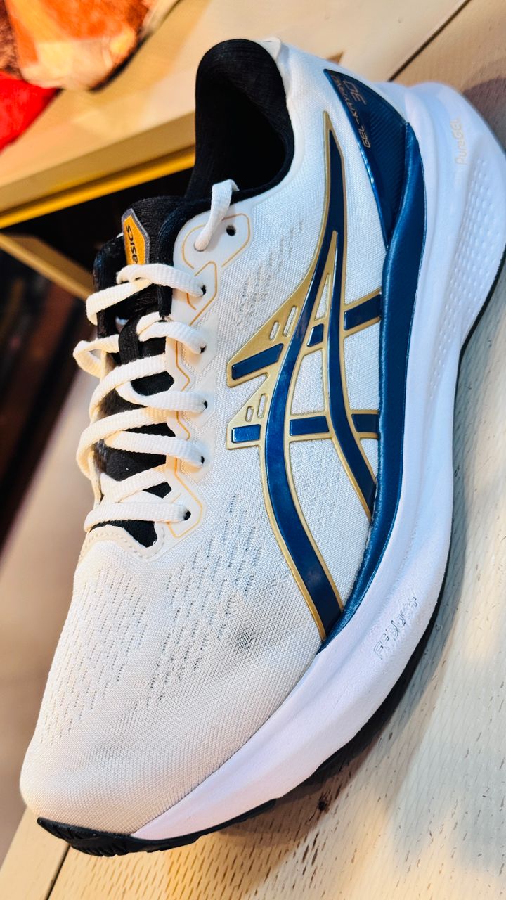 ASICS Gel Kayano 30